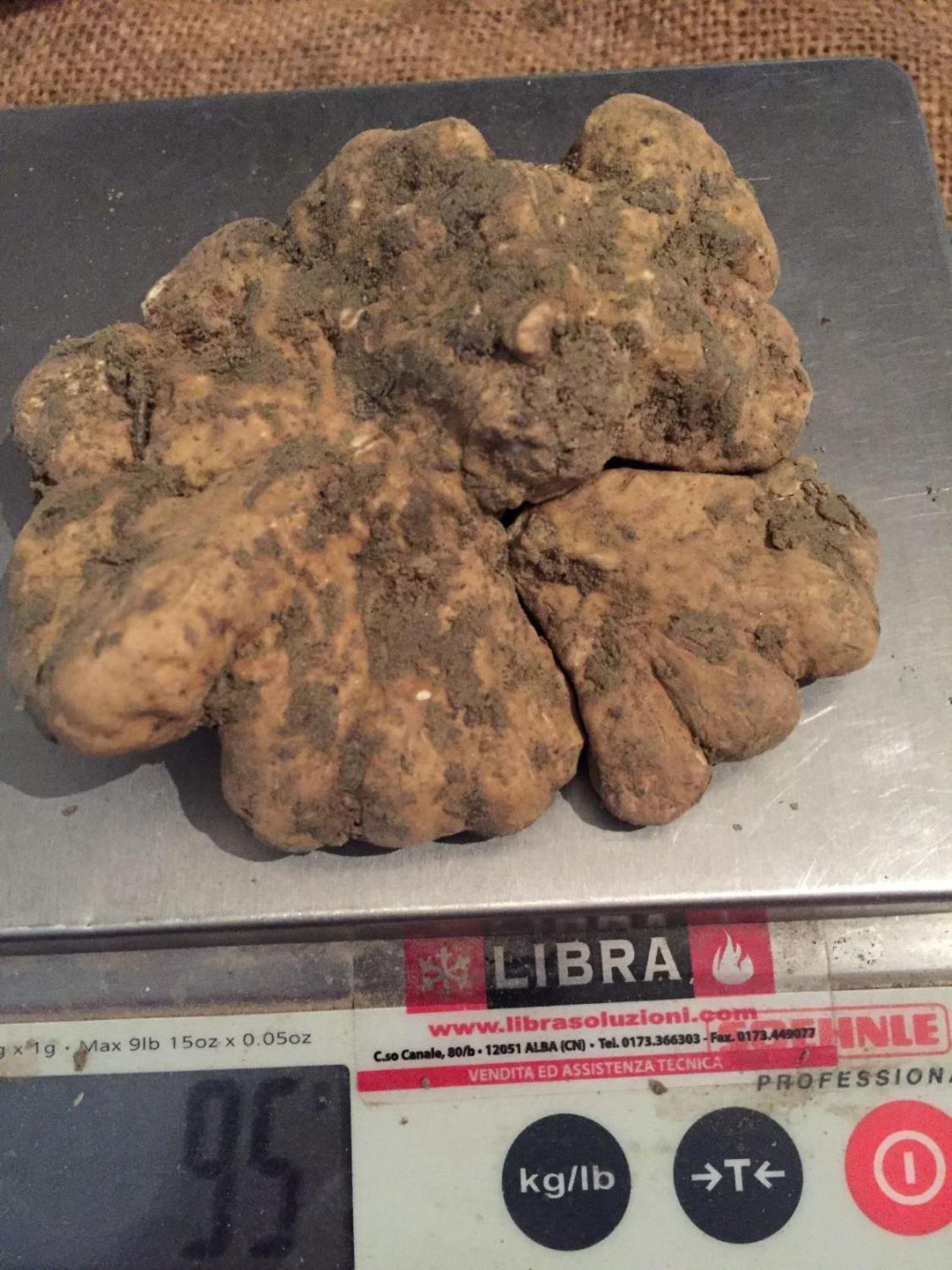 拉莫拉Peiragal公寓 外观 照片